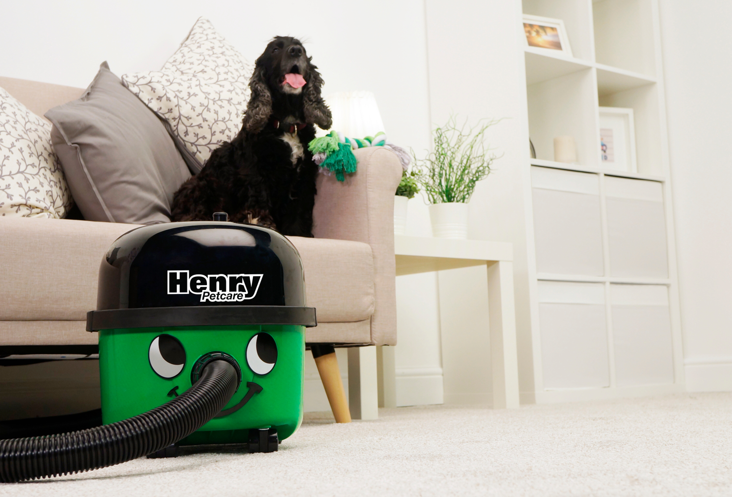 henry-animal-big-img